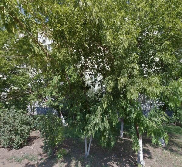 Банкомат банка Форштадт по адресу ул. Туркестанская,  д. 11